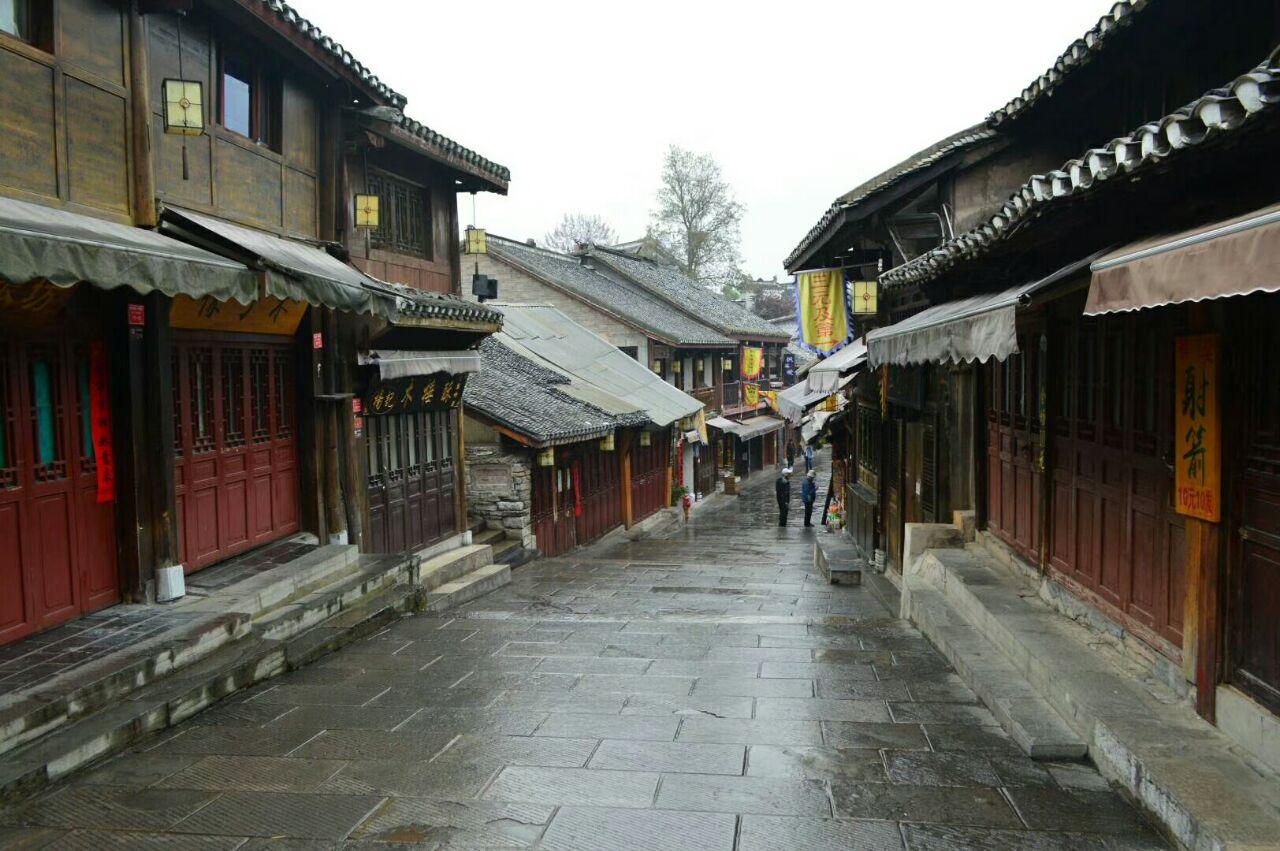 铁根在哪直播-专业问答交流平台